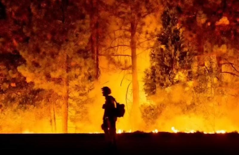 Fire fighter walking by forest fire.