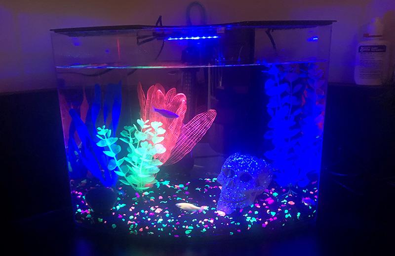 glow tank decor