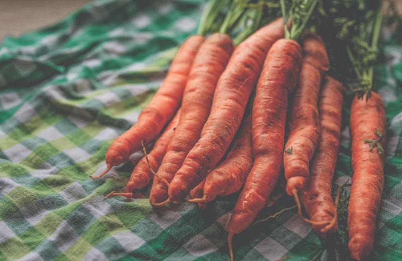 A bundle of carrots lays on a blanket.