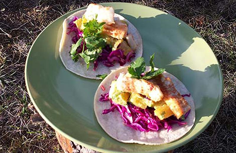 Fish tacos on a green plate in the sunshine