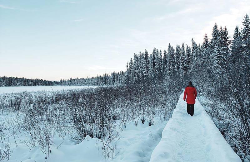 person in red jacket walks on snow covered path