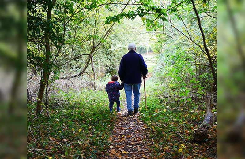 Grandfather walking with grandchild on a forest path