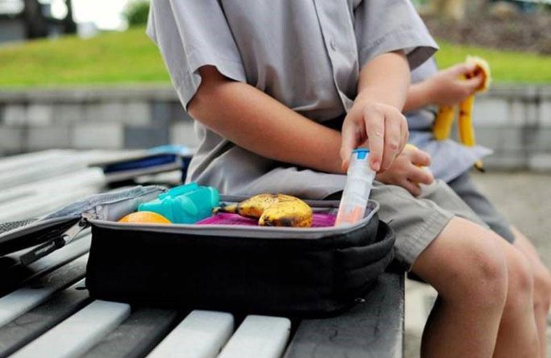 Open lunchbox showing epipen and food next to child on bench