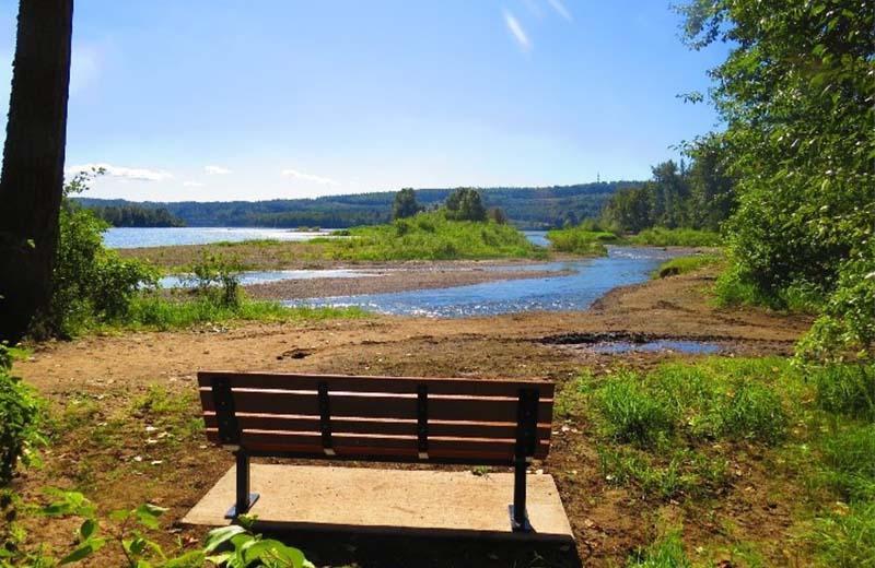 picture of a bench overlooking the river on a sunny day