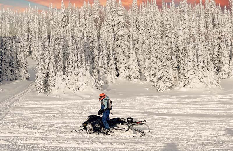 Snowmobile rider on snowy ground with trees