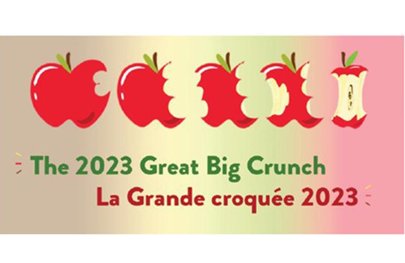 The 2023 Great Big Crunch