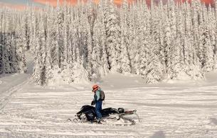 Snowmobile rider on snowy ground with trees