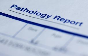 Pathology report image