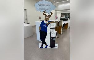 A cardboard cut out of Sprit the caribou from inside Ksyen Regional Hospital. 