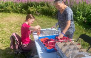 Two women at a picnic table as they dry and can salmon filets