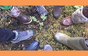 Feet positioned in a circle out in nature.